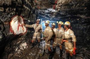 Agente ausiliario per la carbossimetilcellulosa di grado minerario CMC